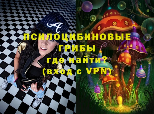прущие грибы Навашино