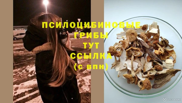 прущие грибы Навашино