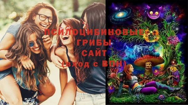 прущие грибы Навашино