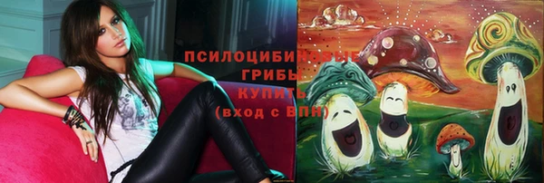 прущие грибы Навашино